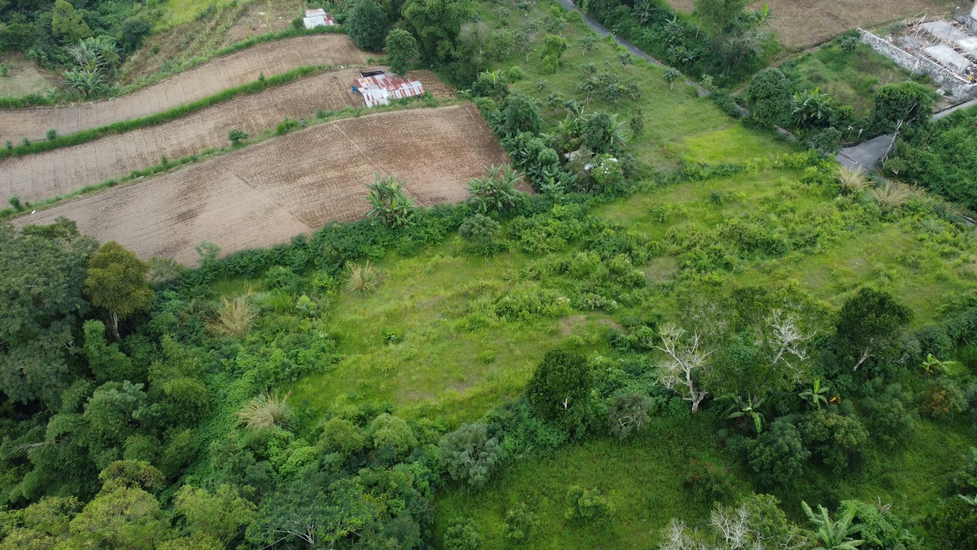 On the road, 2025: Bali from above