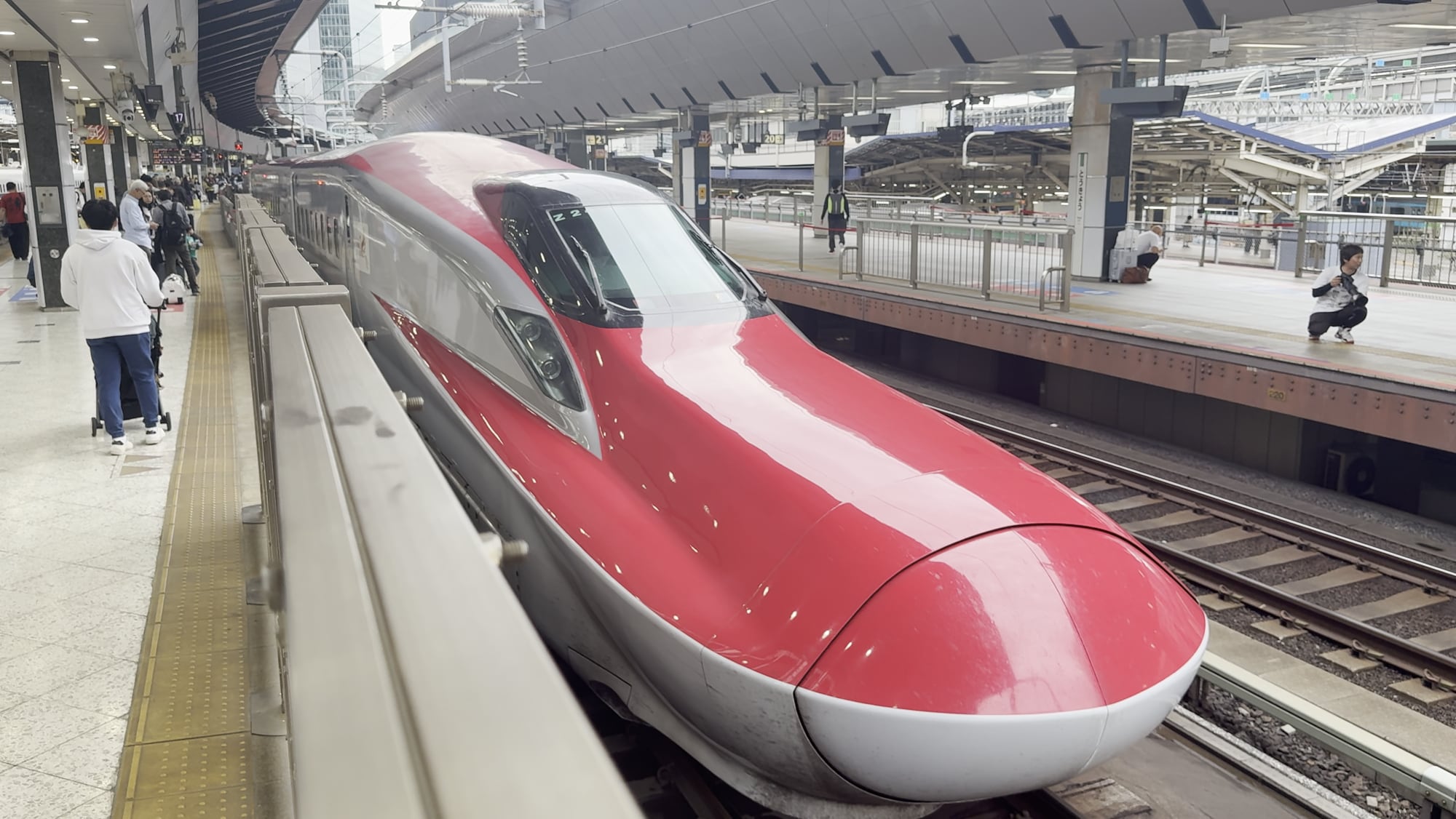 On the road, 2025: A shinkansen at Tokyo Station
