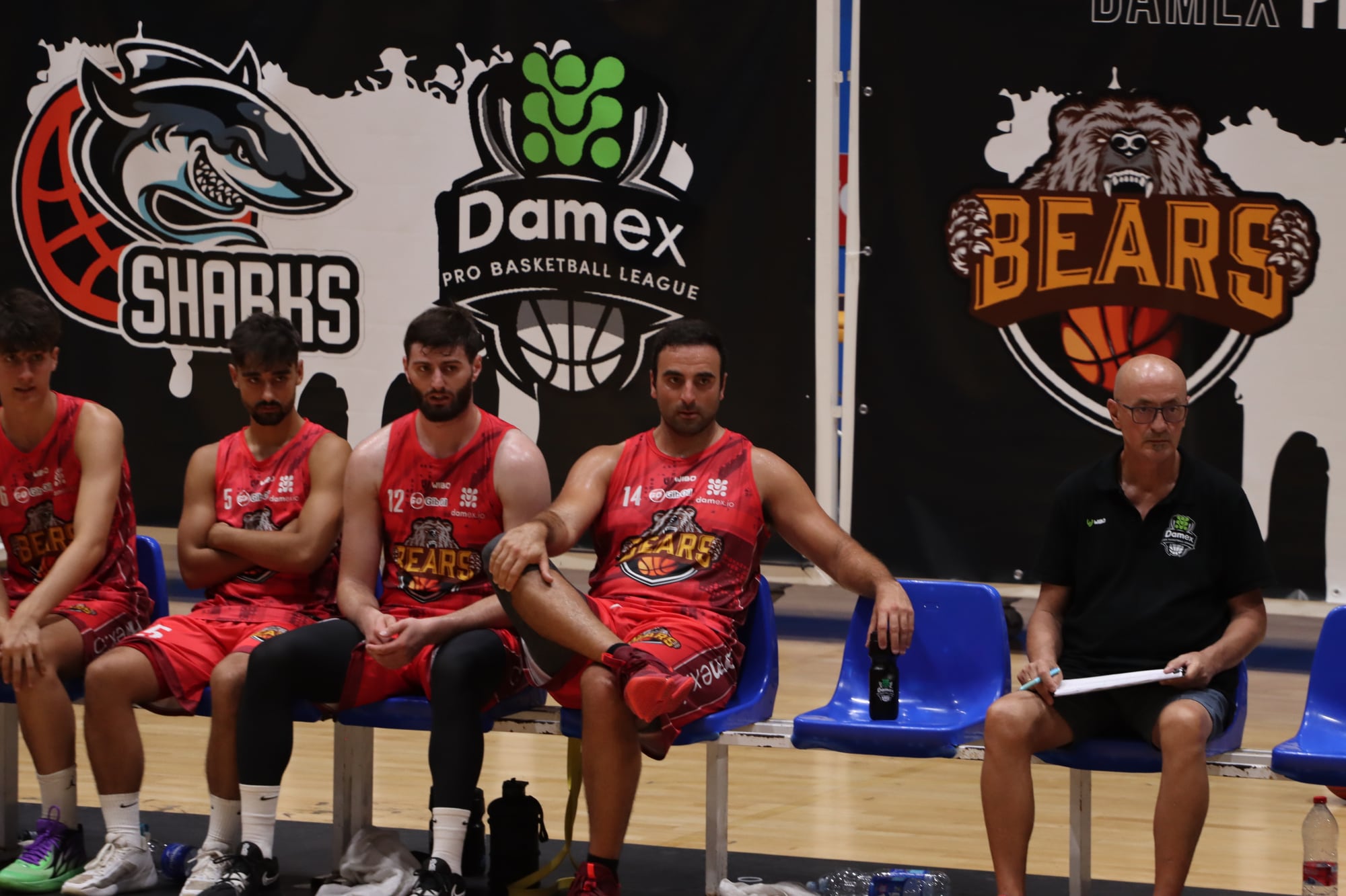 Damex Pro League 2023: The bench, team and league logos behind